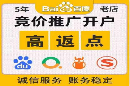 SEM推广策略：成功案例解析